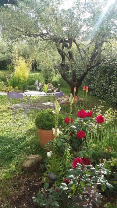 Le Temps Des Cerises. Villa Vinsobres Exteriör bild